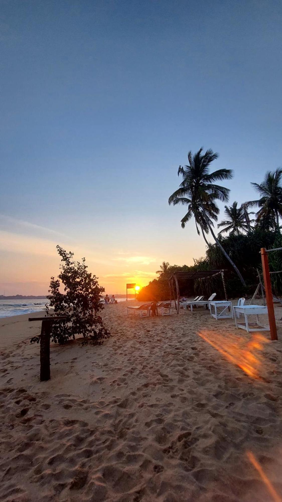 Little Pumpkin Cabanas Tangalle Eksteriør bilde